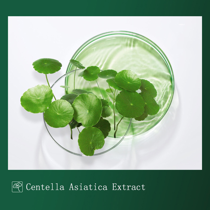 8 stücke Centella Schlamm Mask – Dust Mask Construction Bewertung und Preis